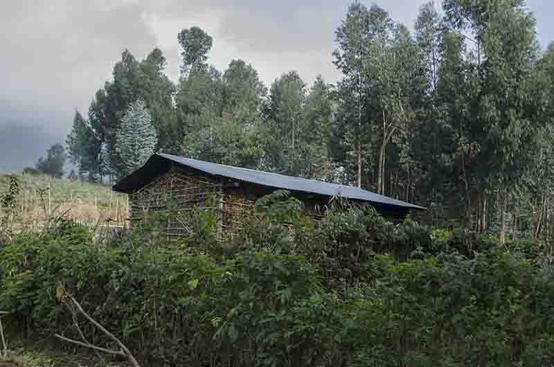36 - Ruanda - parque nacional de los volcanes - casa